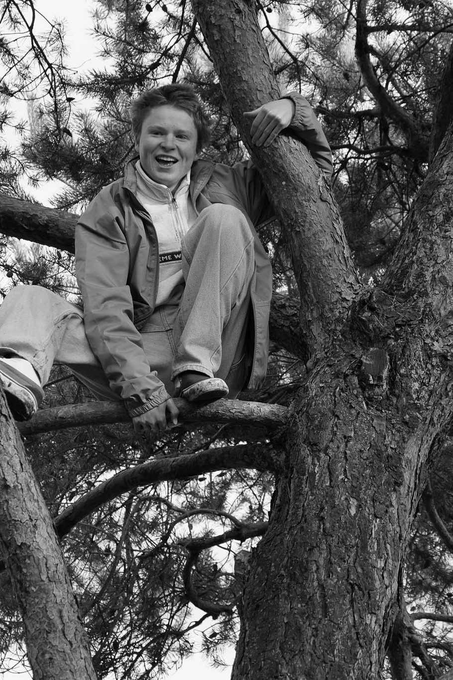 Boy in tree
