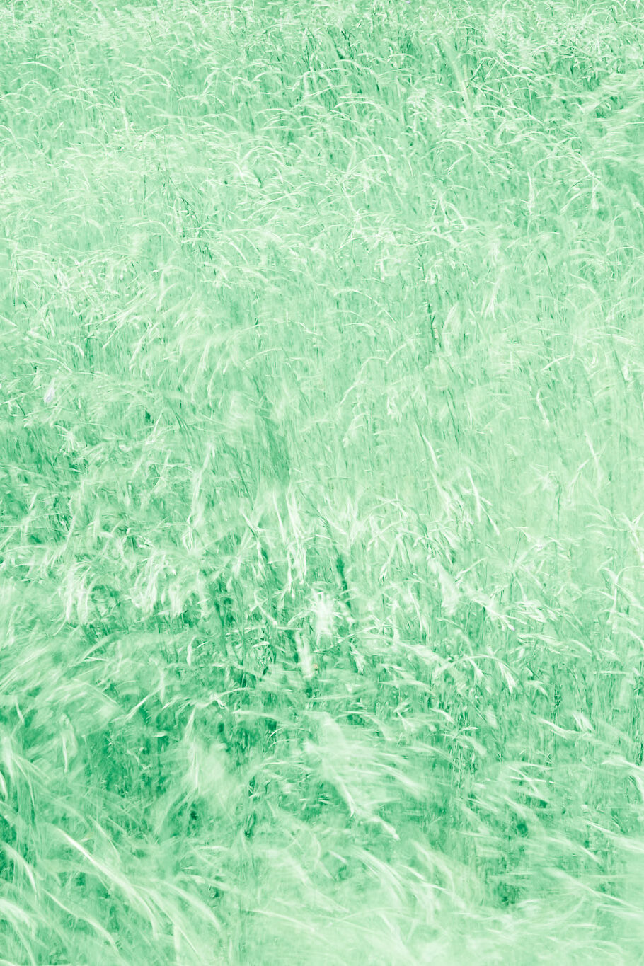 Feld green